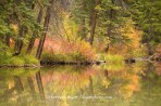 Lizard Lake, Colorado, reflection, fall color